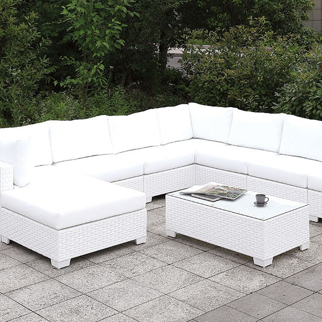 Somani U-Sectional + Coffee Table